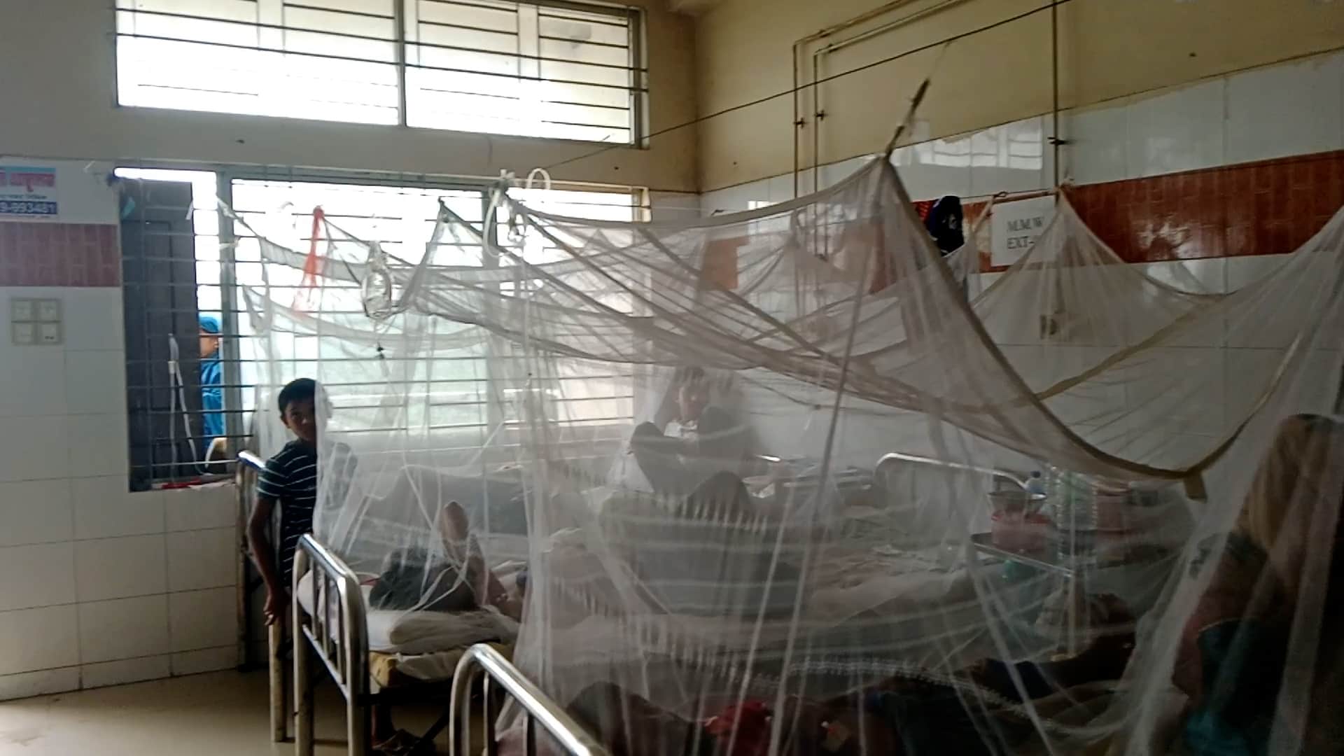 ভোলায় বাড়ছে ডেঙ্গু, আক্রান্তদের বড় অংশই ঢাকা-চট্টগ্রাম ফেরত