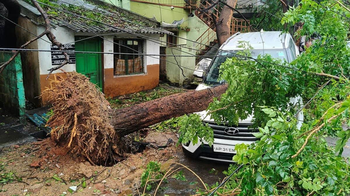 ঘূর্ণিঝড় ‘অর্ণবের’ তাণ্ডবে ভারতে নিহত ৬