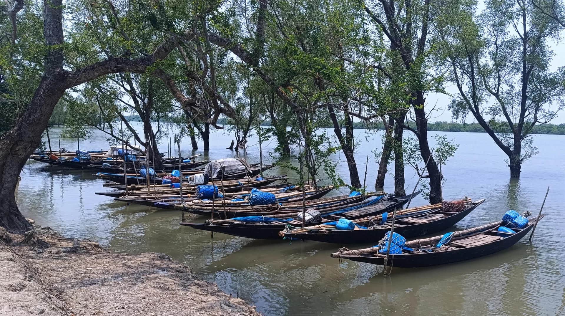 জলদস্যুমুক্ত সুন্দরবনের দাবি, বাস্তবে জেলেদের কান্না