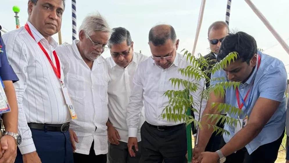 আমিনবাজারে মহাসড়কের পাশে গাছের চারা রোপণ করলেন প্রধানমন্ত্রী