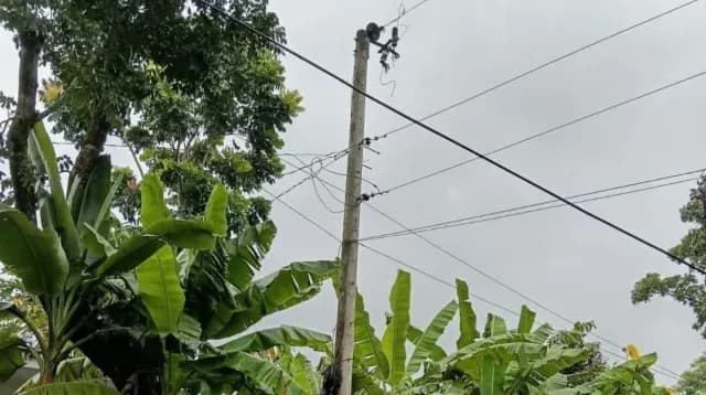 ট্রান্সফরমার চুরি, ক্ষতিপূরণের টাকা দিতে হবে গ্রাহকদের!