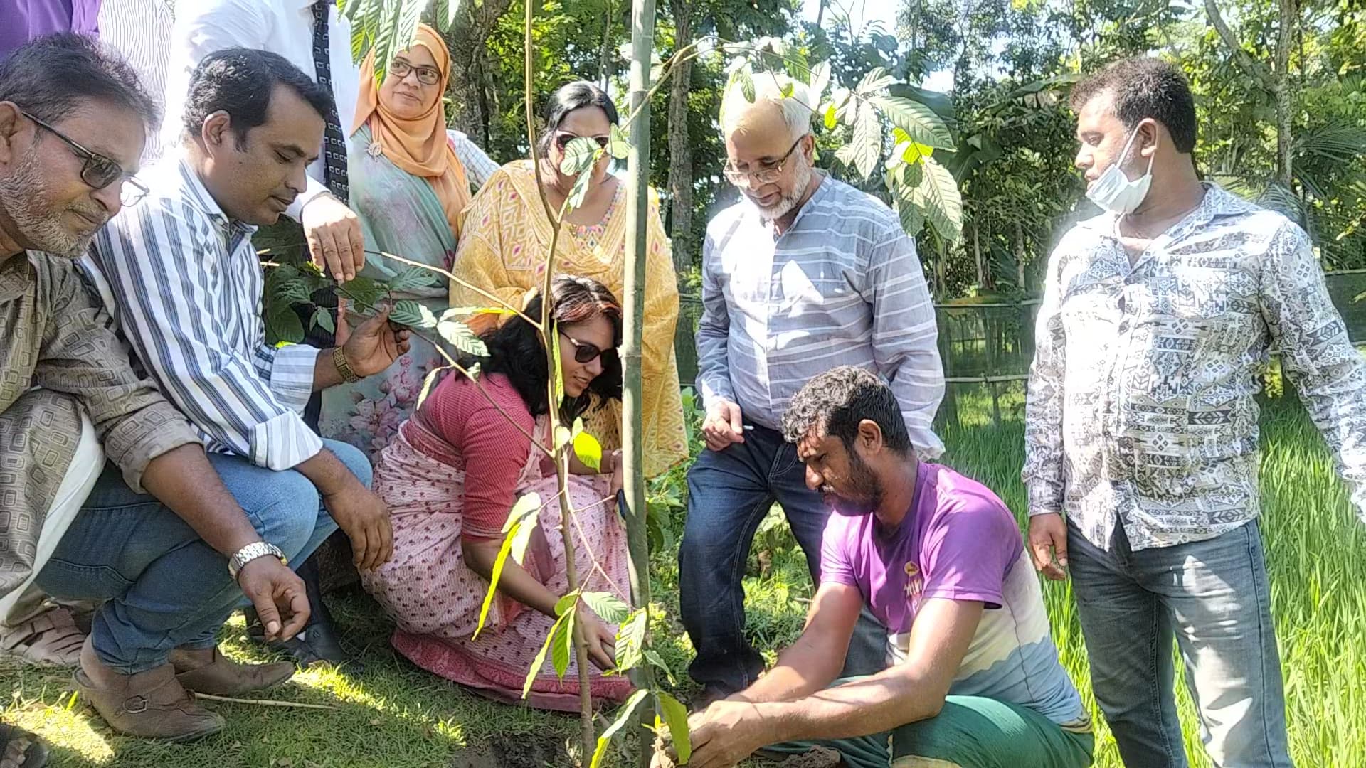 নেত্রকোণায় ৫০০ গাছ লাগানোর উদ্যোগ, পরিচর্যার ওপর ইউএনওর গুরুত্বারোপ