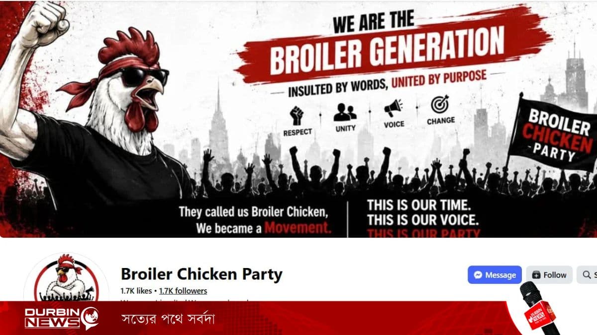 Boiler-Chicken-Party.webp