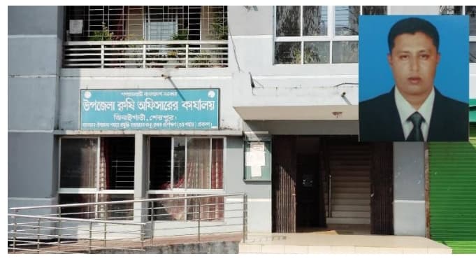 ঝিনাইগাতী উপজেলা কৃষি বিভাগের এক উপসহকারী কৃষি কর্মকর্তার বিরুদ্ধে ২ বছর যাবৎ মাঠে না যাওয়ার অভিযোগ
