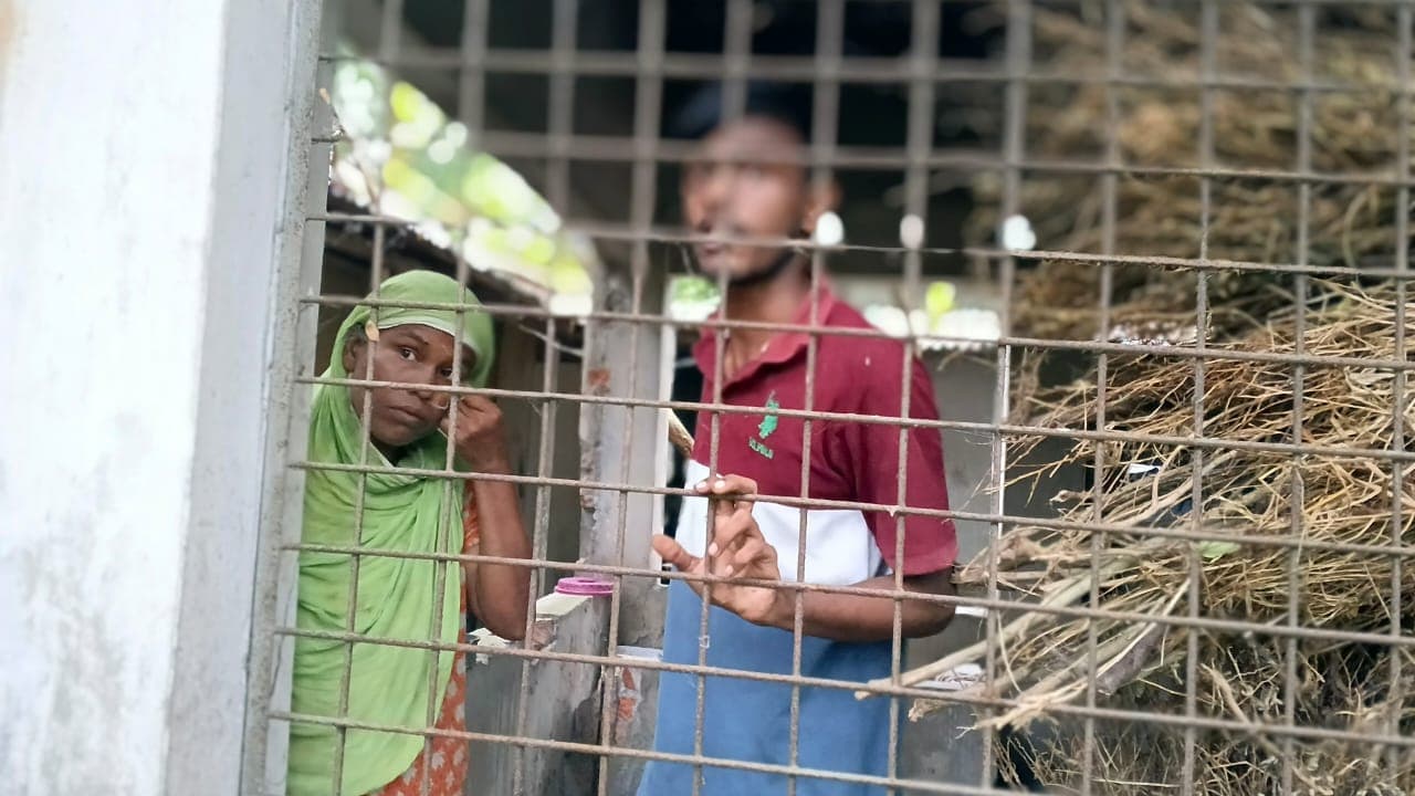 কাঁটাতারের বেড়ায় দুই বছর ধরে ‘বন্দী’ বিধবা, নেই বিদ্যুৎ-পানি