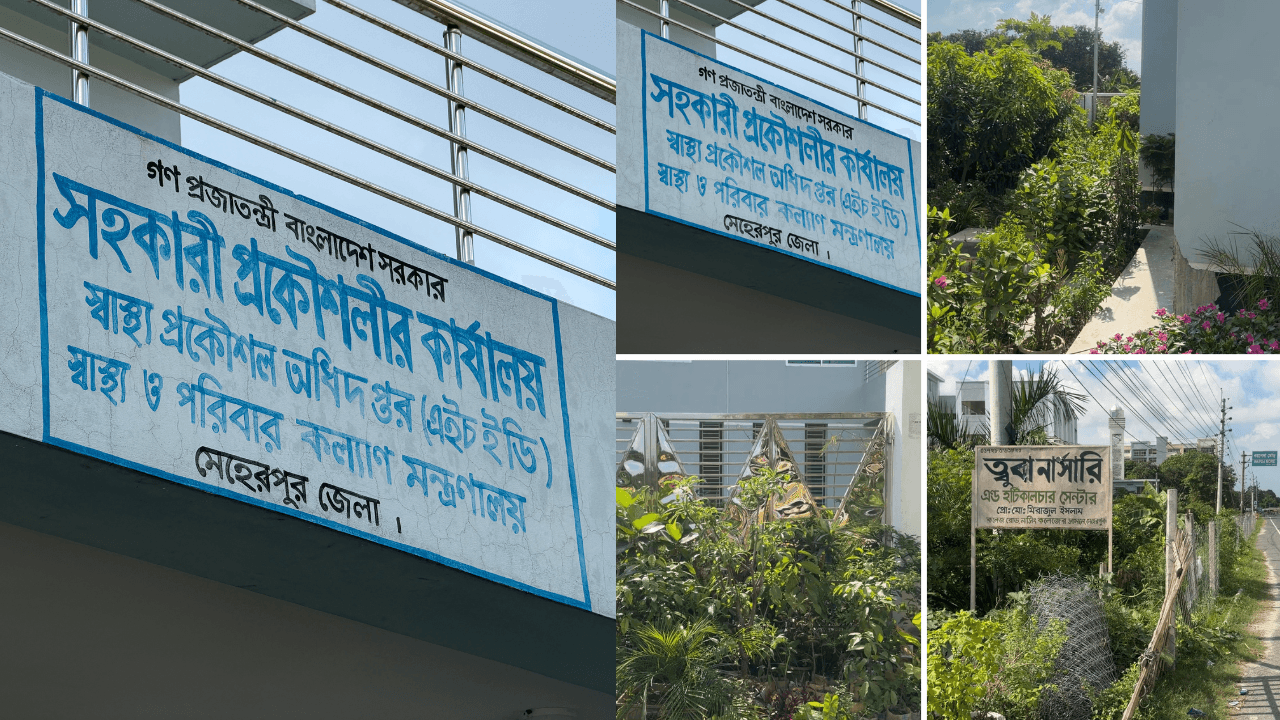 মেহেরপুর স্বাস্থ্য প্রকৌশল অফিসের ভেতরেই নার্সারি, সাংবাদিককে প্রাণনাশের হুমকির অভিযোগ