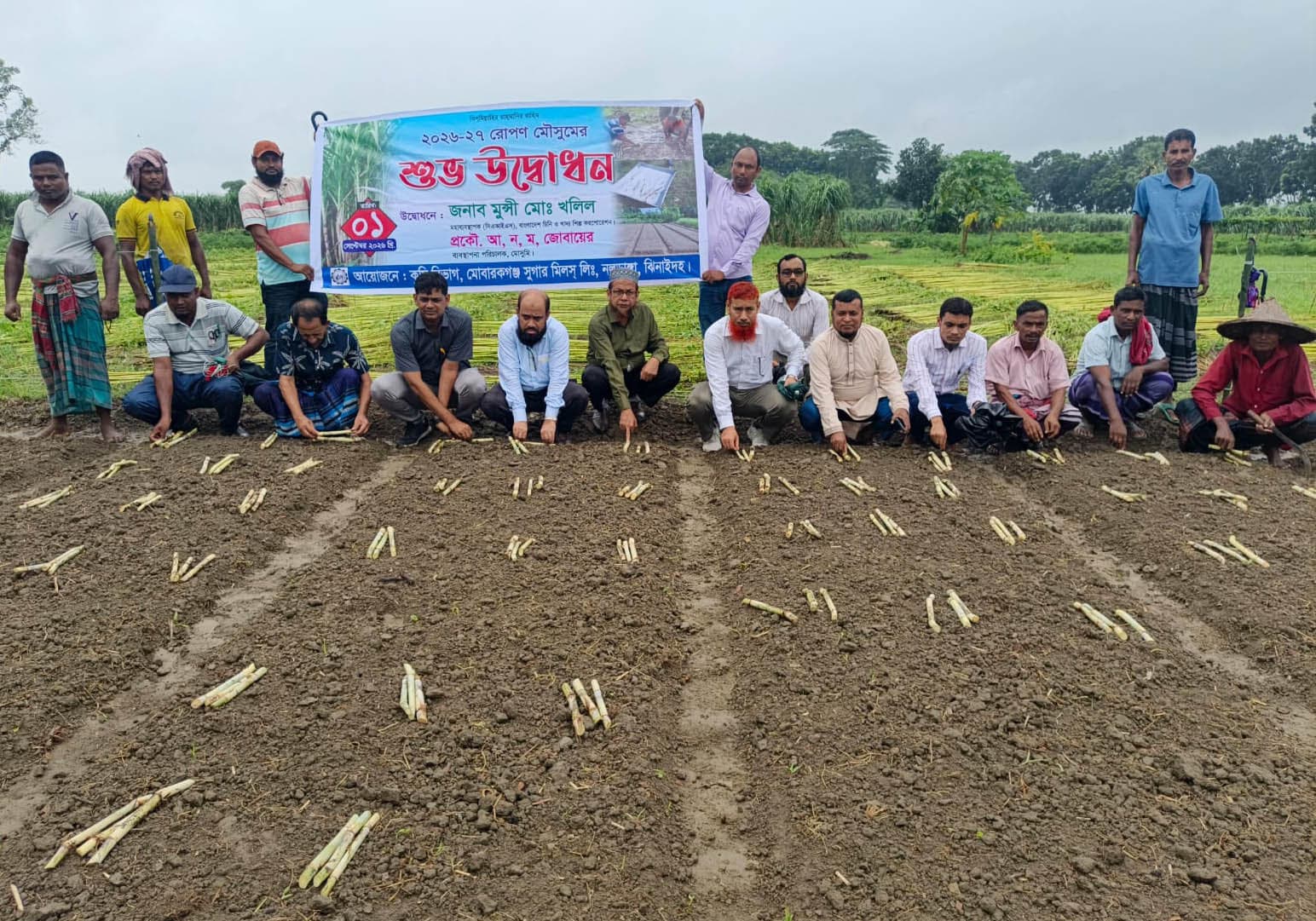 মোবারকগঞ্জ সুগার মিলে আখ রোপণ মৌসুমের উদ্বোধন, বাড়ল আখের দাম