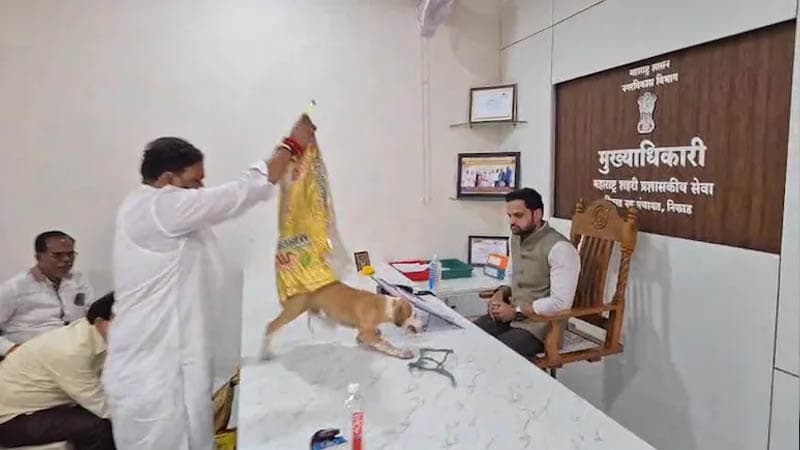 কুকুরের উৎপাত নিয়ে কর্মকর্তার টেবিলে ৪ কুকুর ছেড়ে প্রতিবাদ
