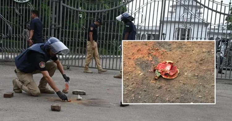 ককটেল ফোটালেই ৫ থেকে ১০ হাজার টাকা, নির্দেশনা ভারতীয় নম্বরে