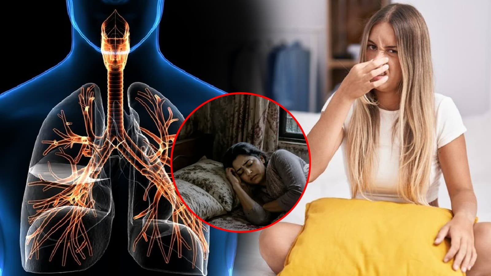 বালিশ পরিষ্কার না রাখলে কী হয়? শ্বাসযন্ত্র নিয়ে সতর্ক করছেন বিশেষজ্ঞরা
