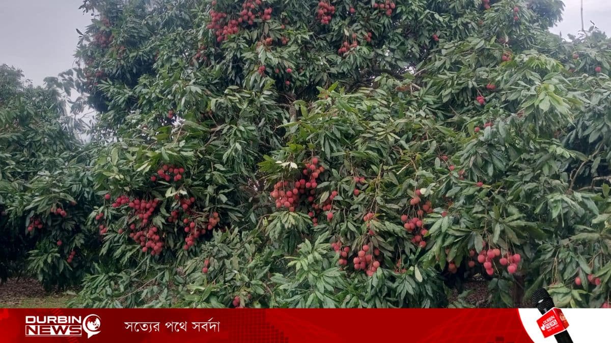 WhatsApp Image 2026-05-17 at 12.11.33.webp