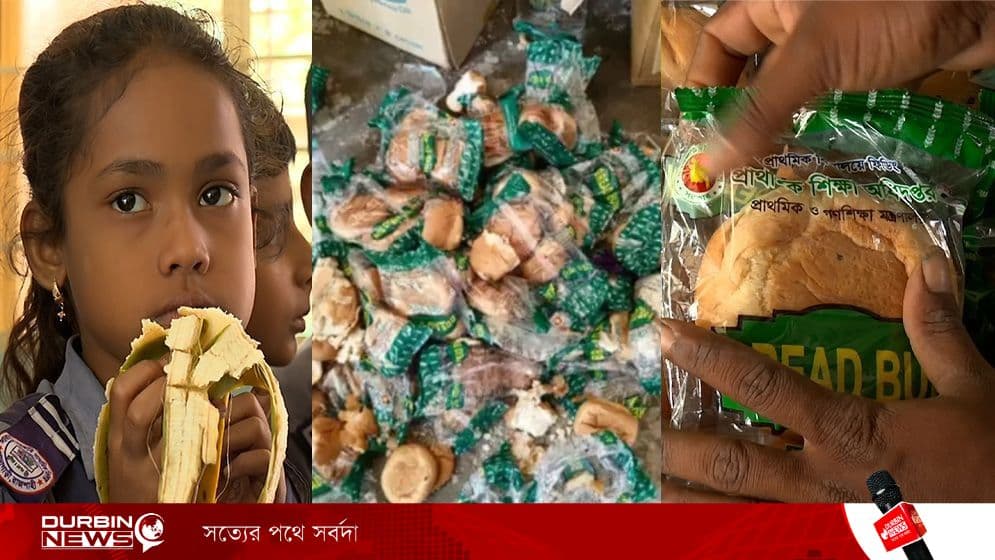 school-feeding-6a0af269ae6b4.webp