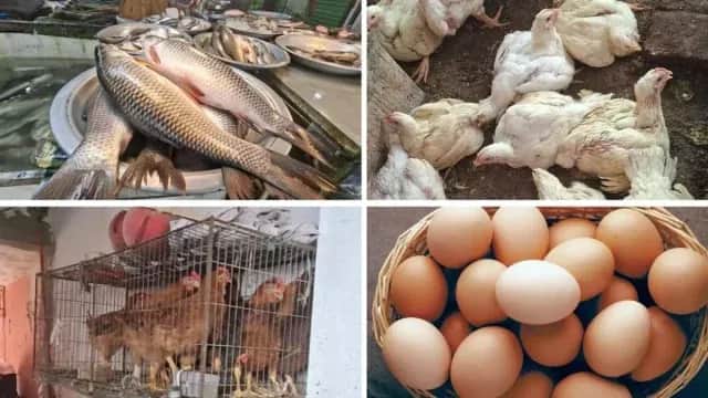 ডিম-মুরগির দামে নাভিশ্বাস, মাছ-সবজিতেও বাড়তি চাপ