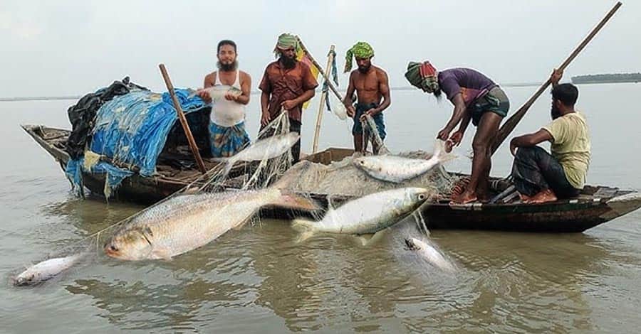 মা ইলিশ রক্ষায় ২২ দিনের অবরোধ, নদ-সাগরে বাড়ছে নজরদারি
