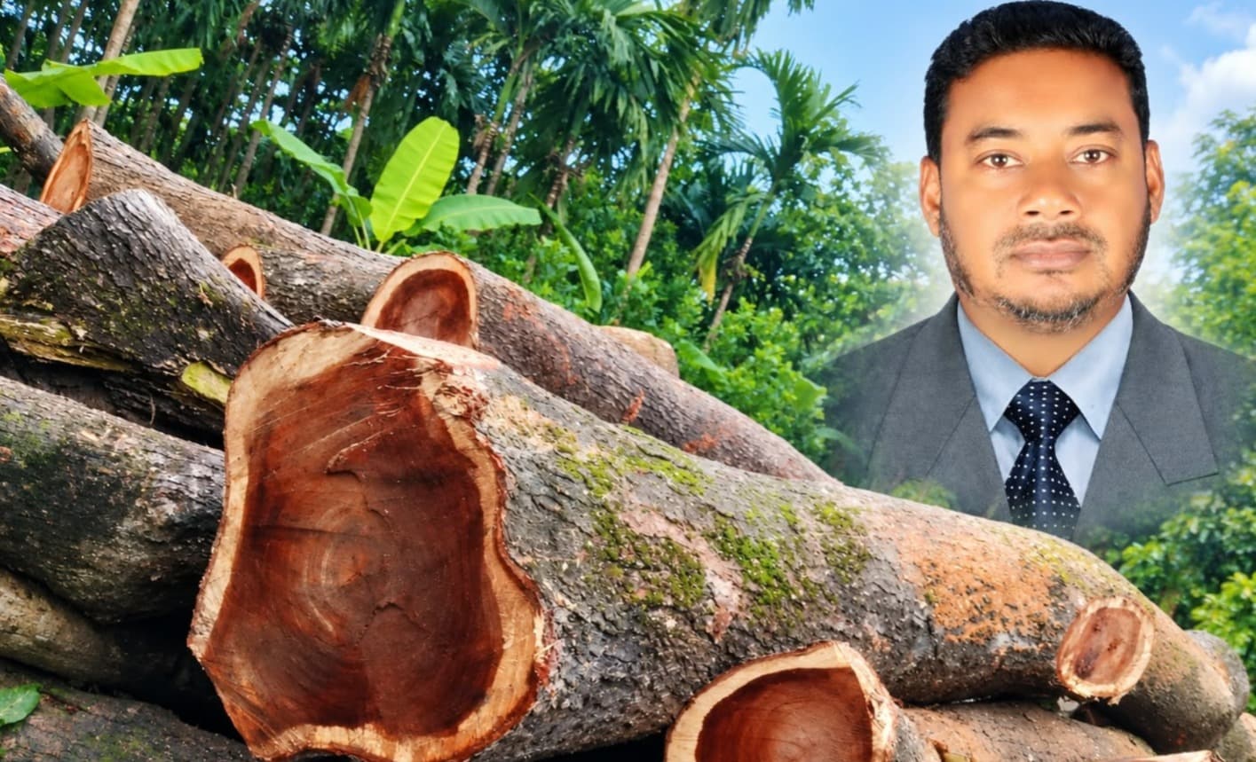 টেন্ডার ছাড়াই রাস্তার গাছ কাটার অভিযোগ, প্রভাবশালীদের বিরুদ্ধে মুখ খুলতে ভয় স্থানীয়দের