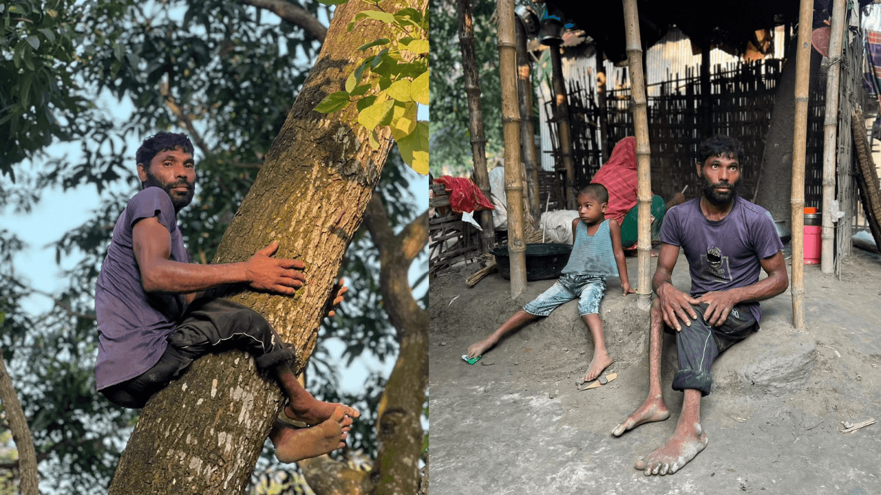 এক পা অচল, তবু গাছের মগডালে একরামুলের জীবনসংগ্রাম