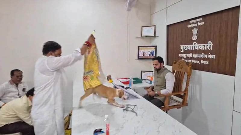 কুকুরের উৎপাত নিয়ে কর্মকর্তার টেবিলে ৪ কুকুর ছেড়ে প্রতিবাদ