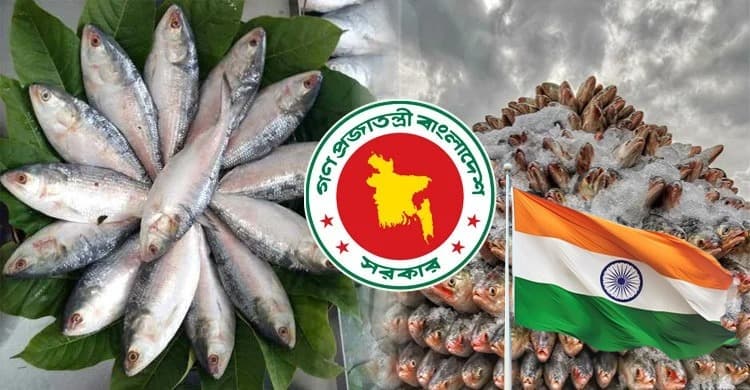 দুই মাসে ভারত থেকে আমদানি সাড়ে ৩ লাখ কেজি ইলিশ, বাজারে ‘মিয়ানমারের ইলিশ’!